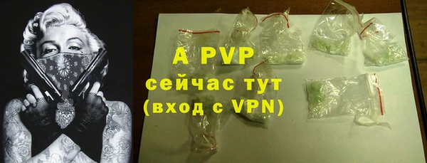 соль ск Арсеньев