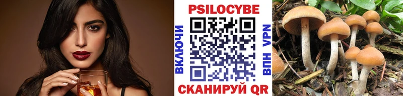 купить Ревда Галлюциногенные грибы мицелий