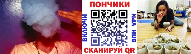 Конопля сатива  Ревда 
